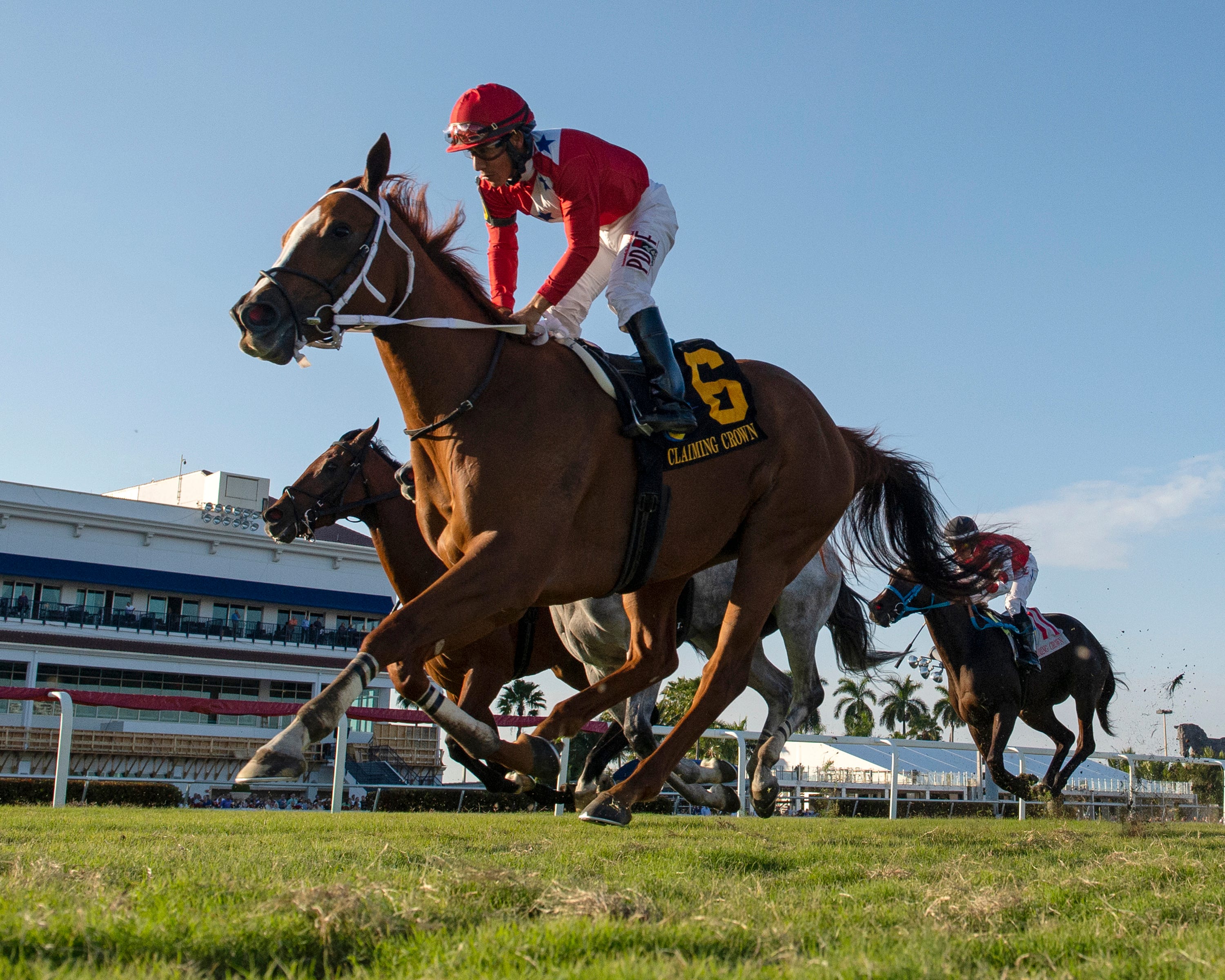 Ten starter stakes fill Gulfstream card